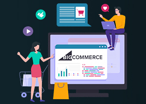 BigCommerce Development & Customization