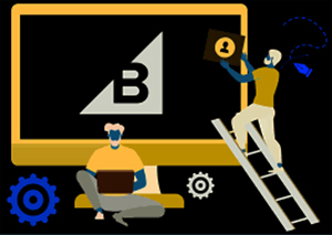 BigCommerce Maintenance & Add-On Services