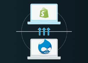 Drupal Integrations Support