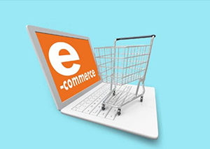 eCommerce Website Theme Setup