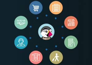 End-to-End PrestaShop ECommerce Development