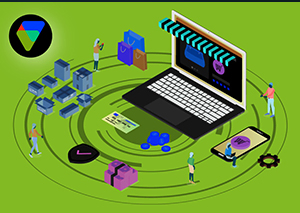 Volusion Custom Development