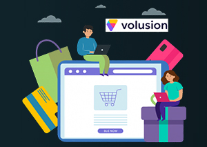 Volusion Support & Maintenance